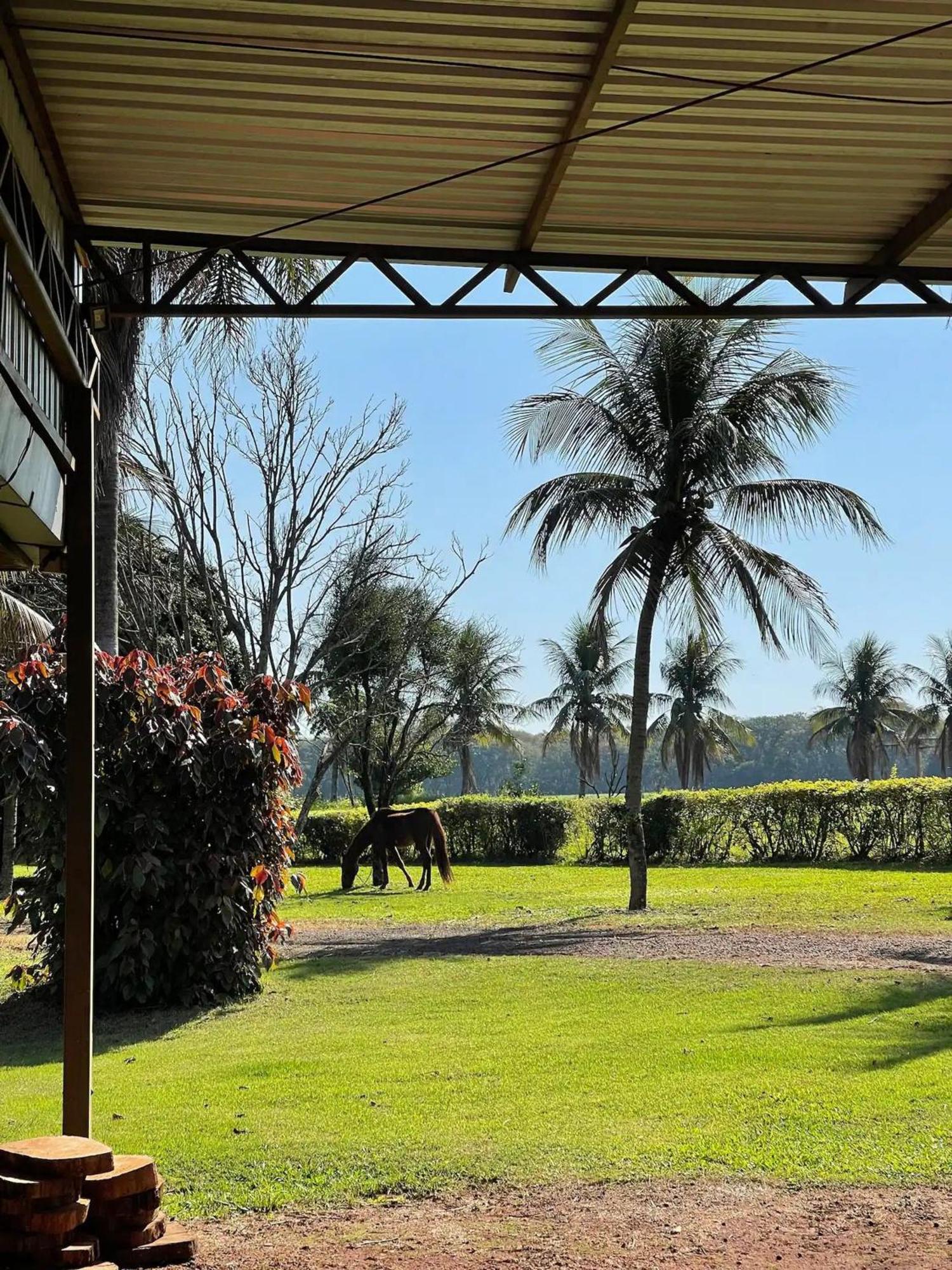Especiais Da Fazenda Itacora Itaipulandia